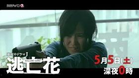 逃亡花 在线播放,揭秘神秘逃亡者的生死之旅