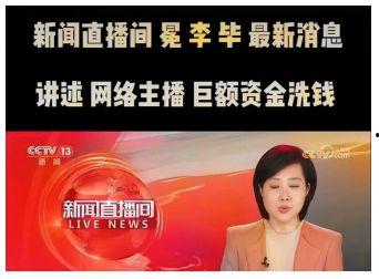 央视新闻爆料王冕视频下载,真相与争议并存