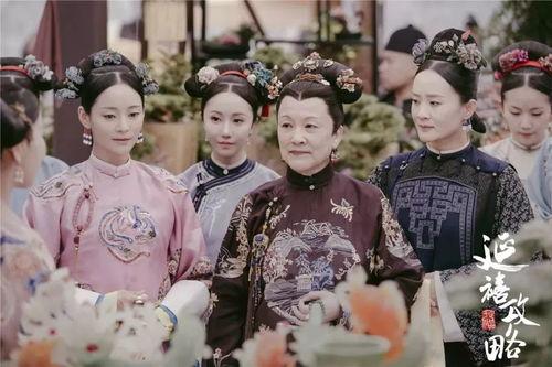 延禧攻略29线观看免费,揭秘宫廷秘闻，免费观看的精彩瞬间
