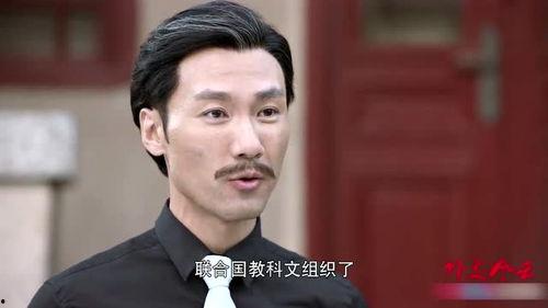 外交风云36集在线播放,揭秘国际风云变幻，再现外交智慧较量