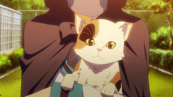 日本动漫里的猫,动漫猫界的奇幻冒险