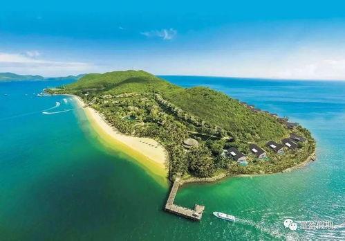 珍珠岛在线播放,在线观看，探索神秘岛屿的奇幻之旅