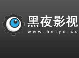 黑夜影视网站在线播放,沉浸式观影体验，尽享在线播放盛宴