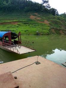 万峰湖钓鱼视频,畅游碧波，尽享渔乐