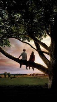 怦然心动免费观看中国,浪漫青春，心动瞬间，共赴青春盛宴