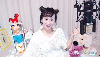 明星主持小马,闪耀舞台的明星主持风采