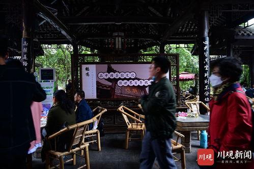 茶社视频,茶社视频带你领略茶文化魅力