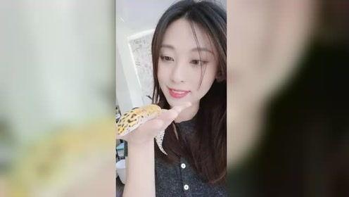 绯月美女视频,绝色容颜下的神秘魅力