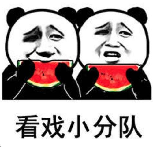 娱乐圈吃瓜专用表情包